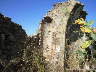 n Michele Forza Agro-31-08-2015 09-15-00